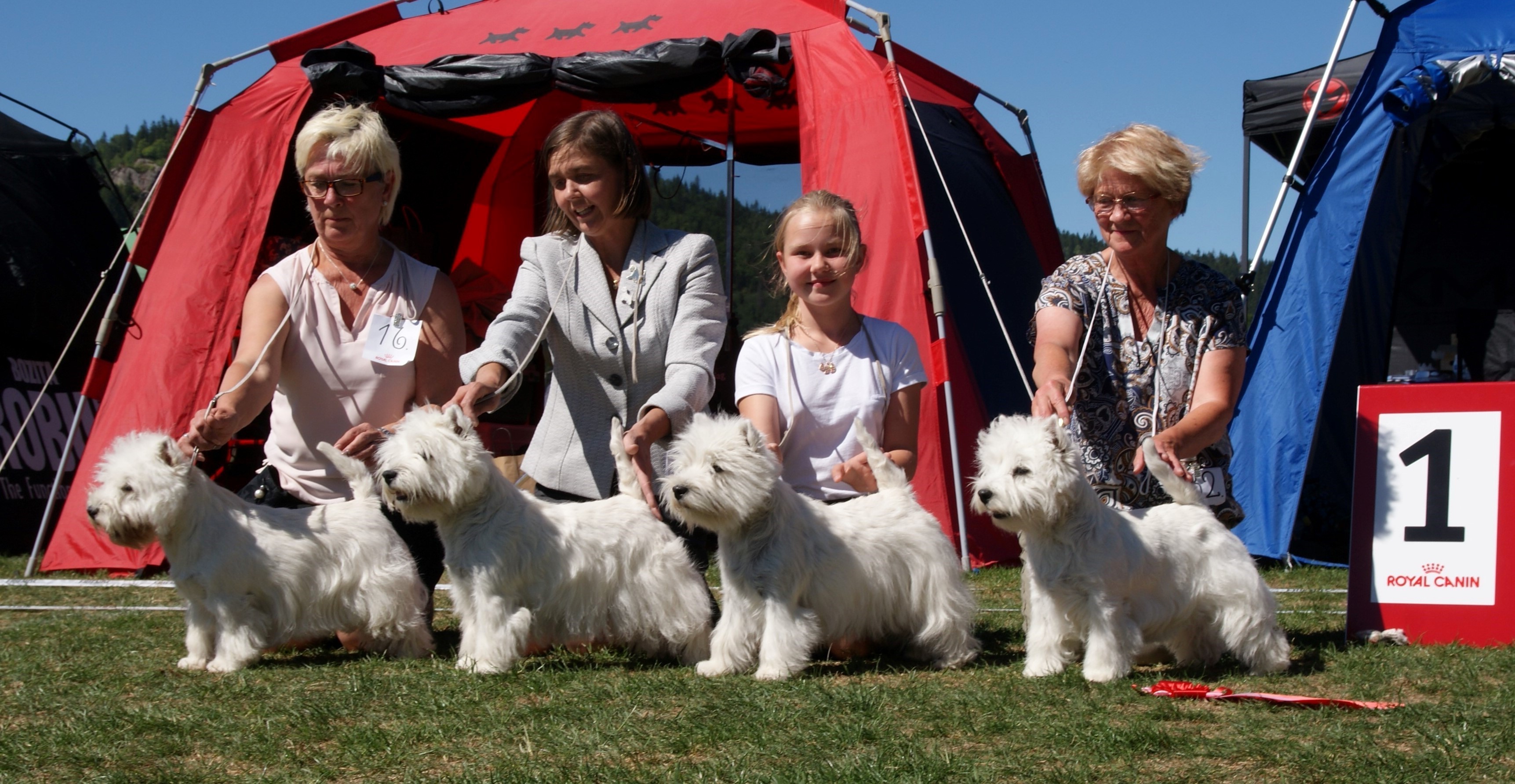 Uppfdargrupp 2018