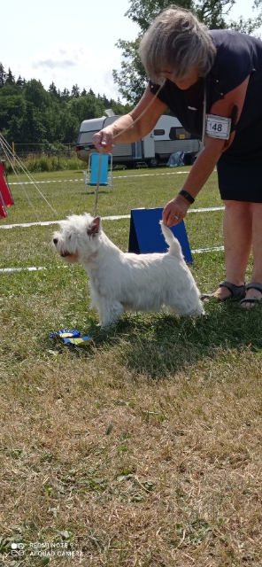 BildJuli210717 02