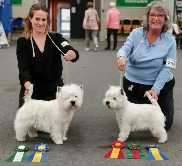 ABBVasterasapril22