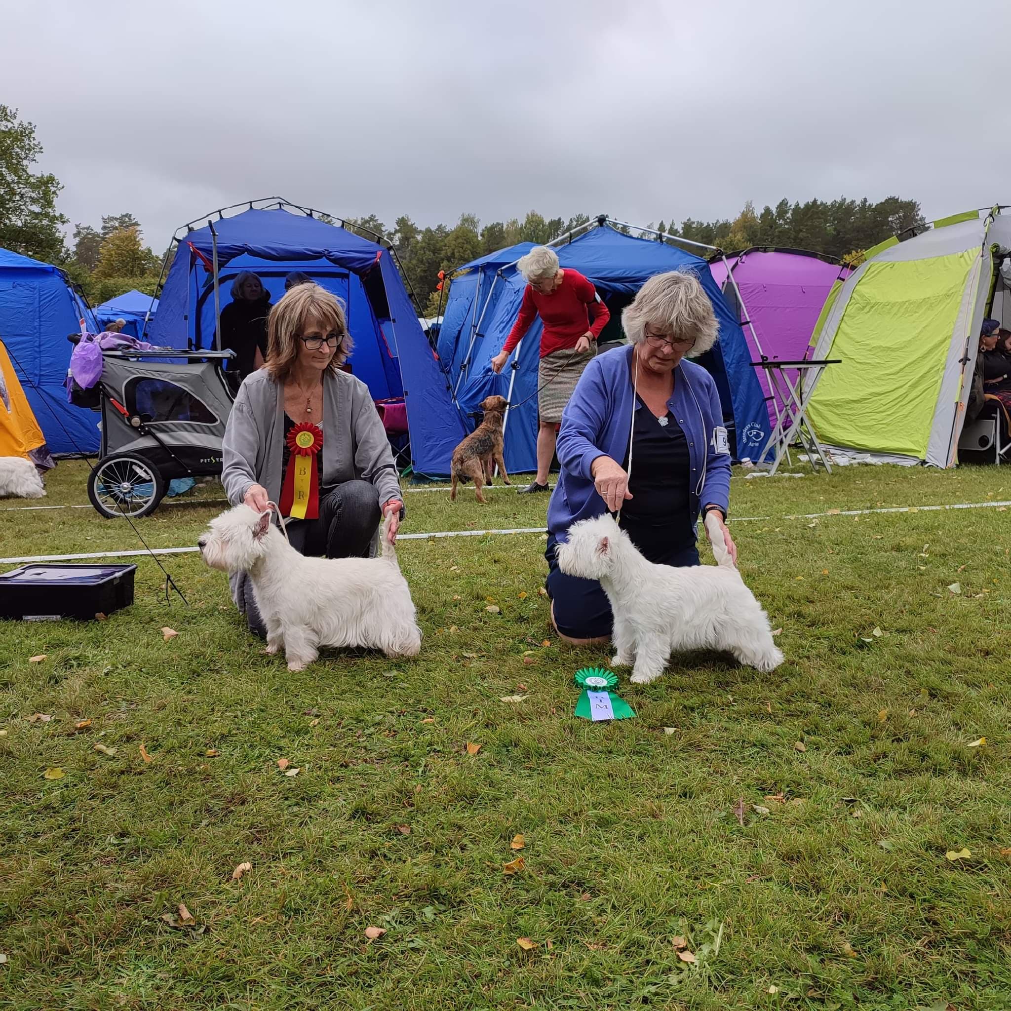 hogbosandviken17