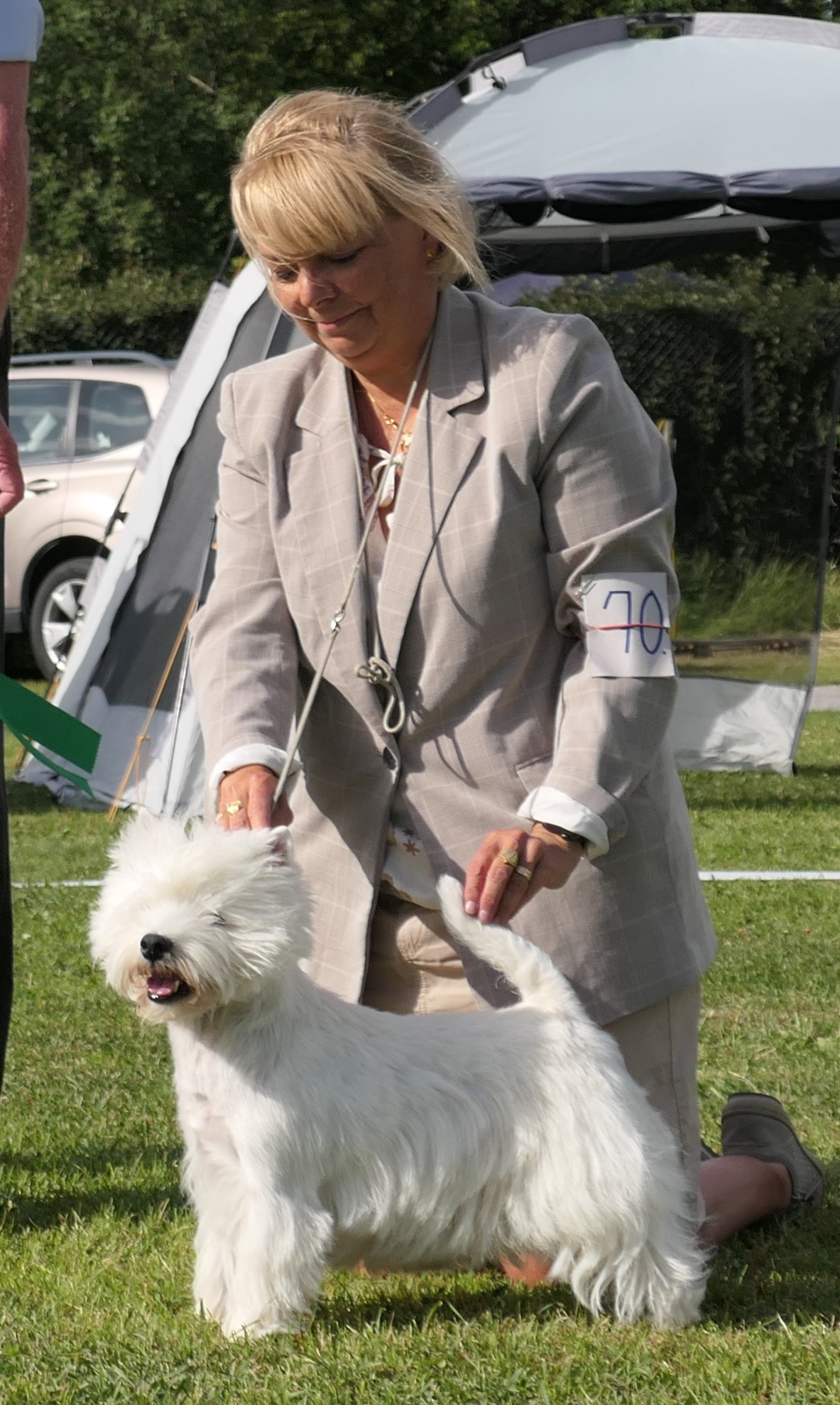 Årets Westie 2022