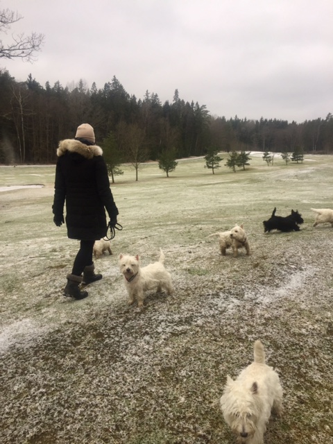 Februaripromenad 7