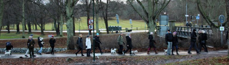 bild 5 768x220