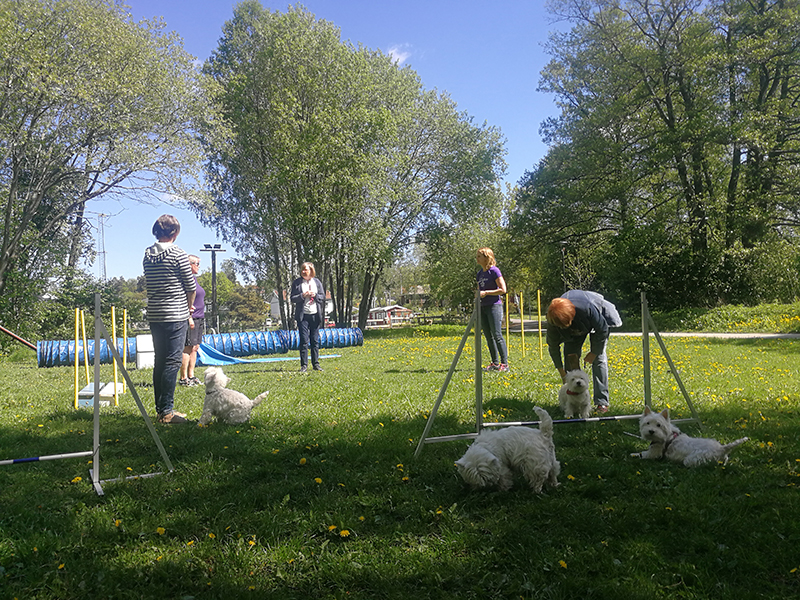 Agility29maj04