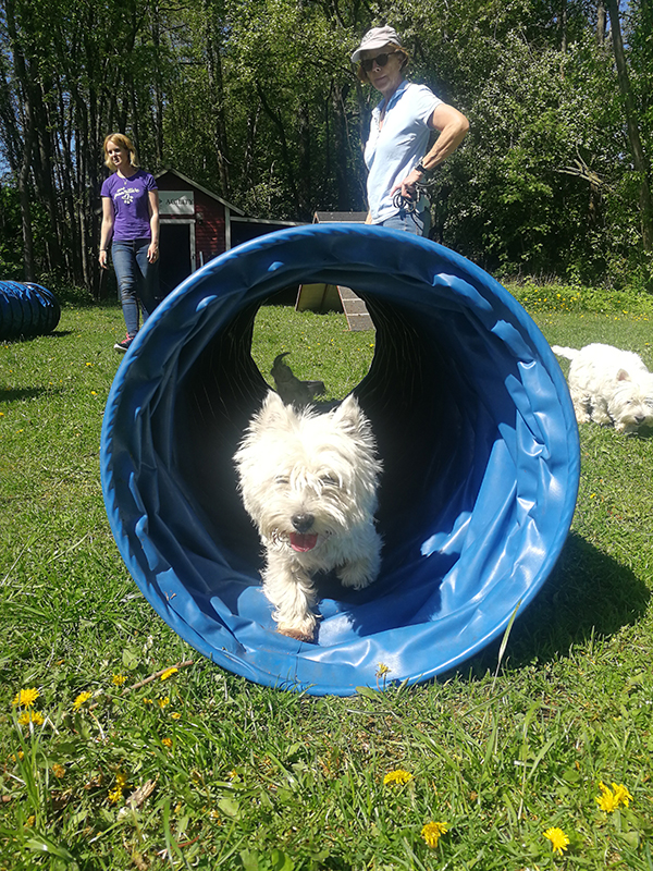 Agility29maj05