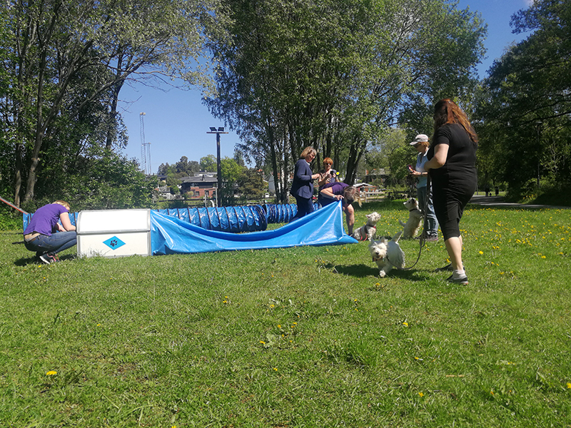 Agility29maj06