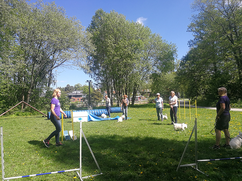 Agility29maj07