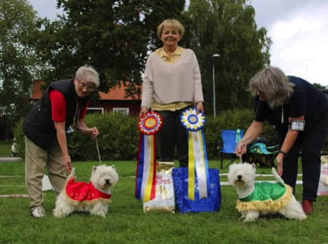 Best in show