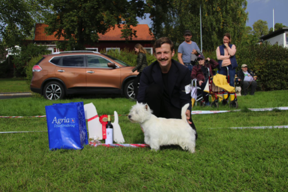Bsta Husse med Hund