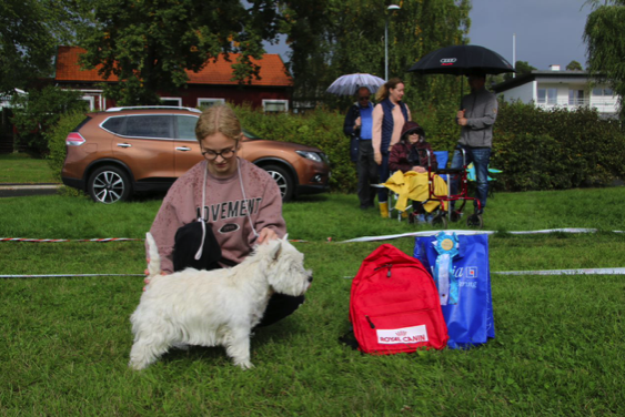 Bsta Juniorhandling