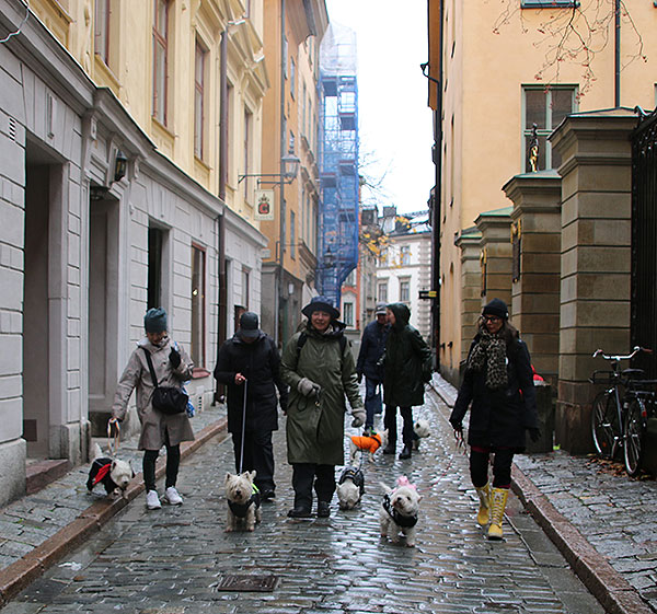 Bild08