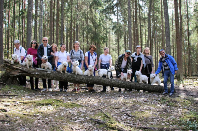ÖWPrommis1sep2024