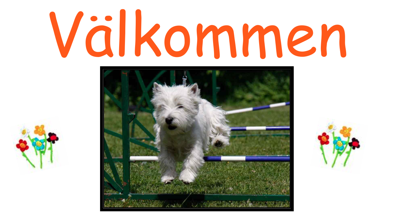 ÖW Välkommen