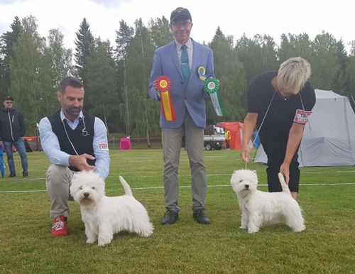 BIR BIM Askersund