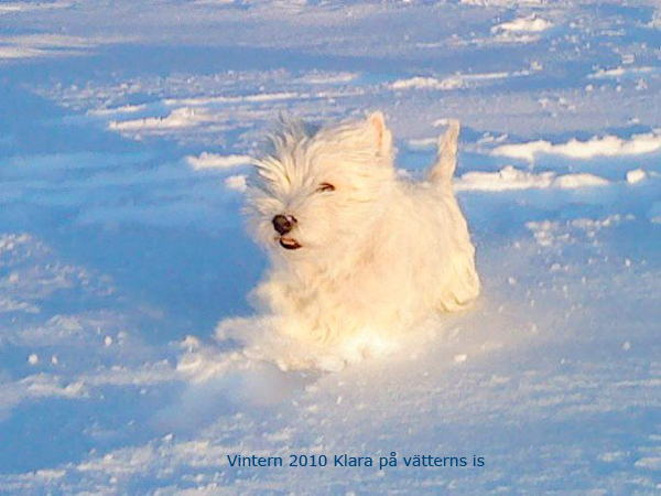 Bild2