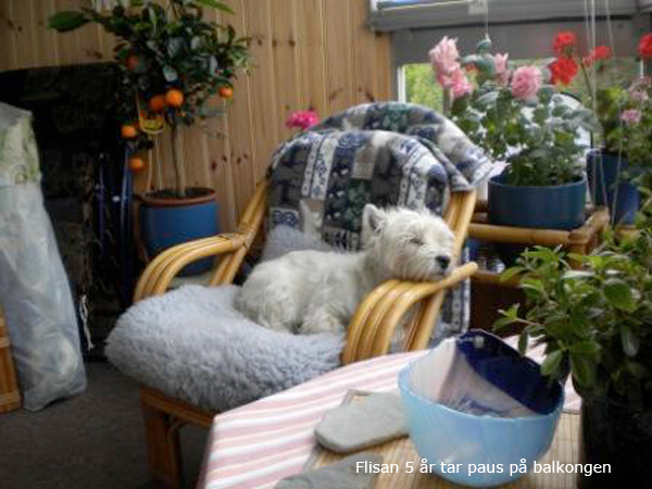 Bild5