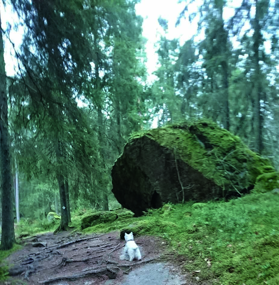 VstersPromenadMaj